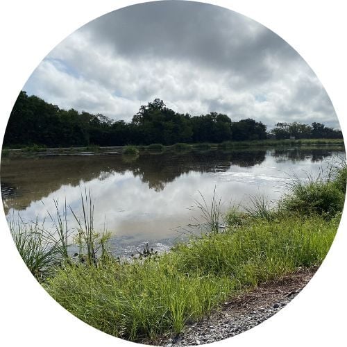 500 x500 website icons (7)