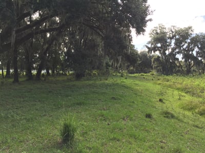 Abandoned golf course