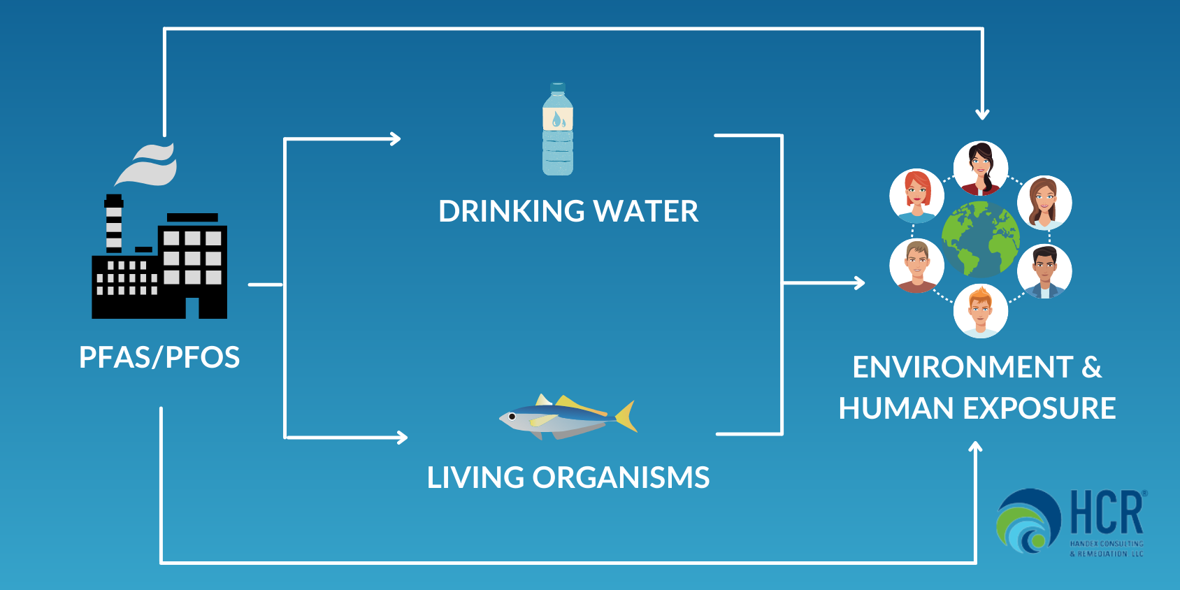 PFAS Graphic